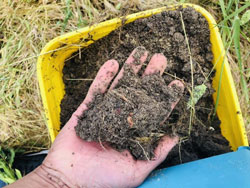 silty-clay soil sample