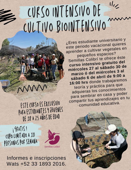 Curso intensivo de cultivo intensivo poster for the free biointensive course