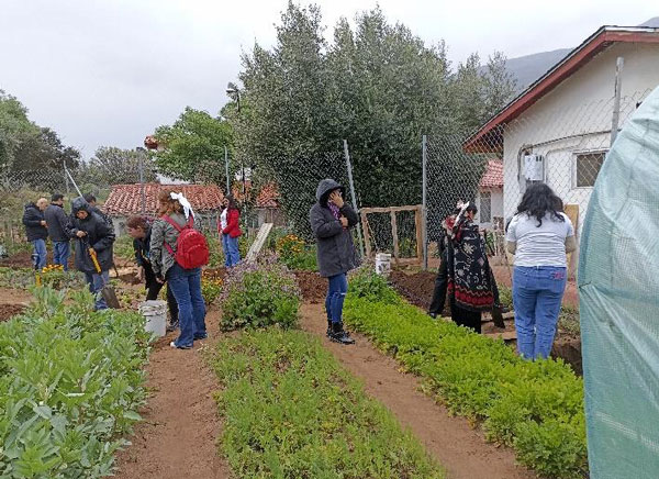 Adult students from Madre Teresa de Calcutta Free University learning GROW BIOINTENSIVE