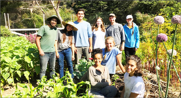 Biointensive Teachers from around the world at a recent Ecology Action Internship at Victory Gardens for Peace