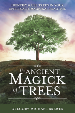 Front Cover: The Ancient Magick of Trees